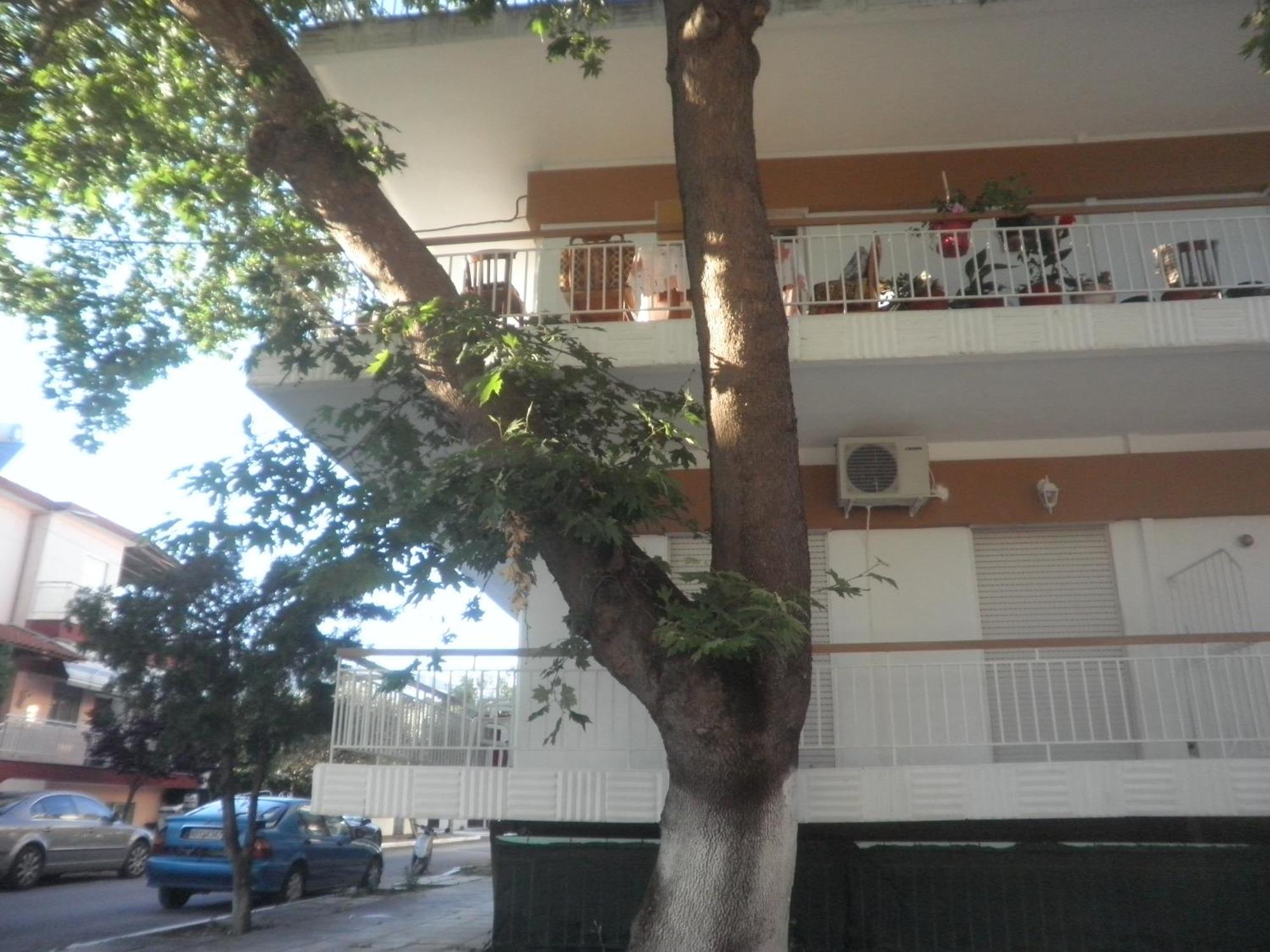 Apartments Anesis Pantazis Asprovalta Esterno foto